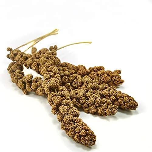 Kaytee Spray Millet 125 Count (5 lb) | Natural Bird Treat for Weaning and Playtime thumbnail 2