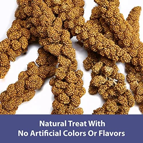 Kaytee Spray Millet 125 Count (5 lb) | Natural Bird Treat for Weaning and Playtime thumbnail 3