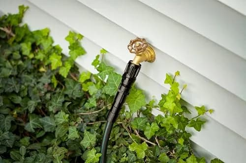 Rain Bird Drip Pressure Regulator 3/4" | Maintains 25 psi water flow for drip systems thumbnail 6