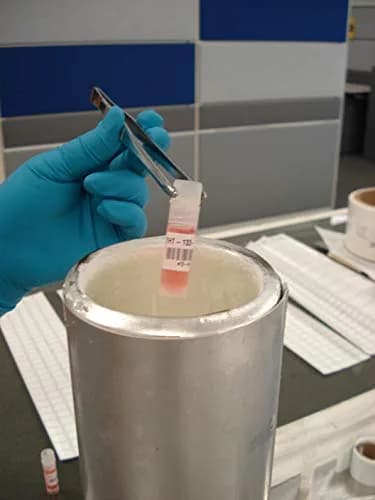 Brady M21-375-461 Extreme-Temp Resistant Label 9.5mm (0.375") W x 6.4m (21' L) | Thermal Transfer Label for Lab, Equipment, Asset Tracking thumbnail 4