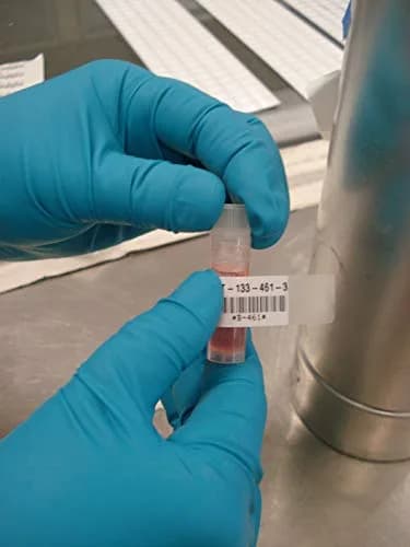 Brady Extreme-Temp Resistant Label .75" W x 21' L (19mm W x 6.4m L) | Chemical & Autoclave Proof for Labs thumbnail 3