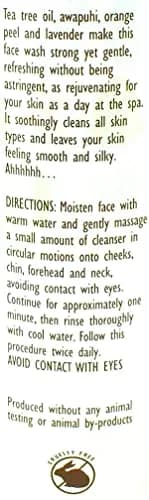 Trader Joe's Spa Face Wash with Tea Tree Oil 17 fl oz | Rejuvenating, Gentle & Refreshing thumbnail 2