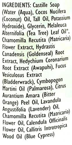 Trader Joe's Spa Face Wash with Tea Tree Oil 17 fl oz | Rejuvenating, Gentle & Refreshing thumbnail 3