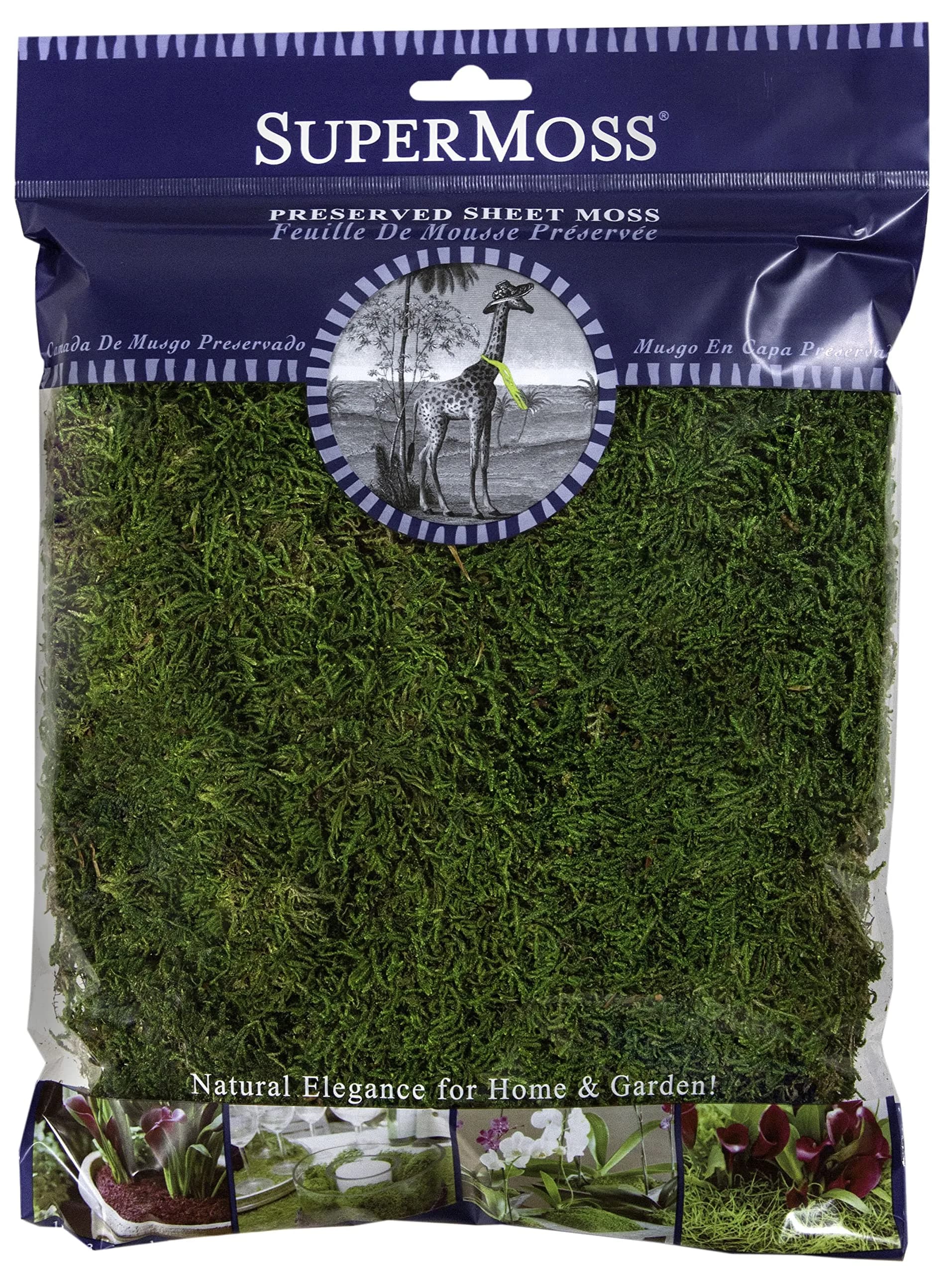SuperMoss Preserved Sheet Moss Fresh Green | Natural, Long-Lasting, 8oz (200 in3)