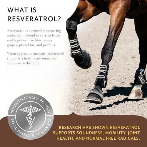 Equithrive Original Joint Powder Horse Supplement, 2 lbs | Supports Soundness & Mobility thumbnail 4
