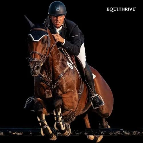 Equithrive Original Joint Powder Horse Supplement, 2 lbs | Supports Soundness & Mobility thumbnail 5