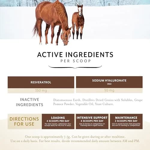 Equithrive Original Joint Powder Horse Supplement, 2 lbs | Supports Soundness & Mobility thumbnail 3