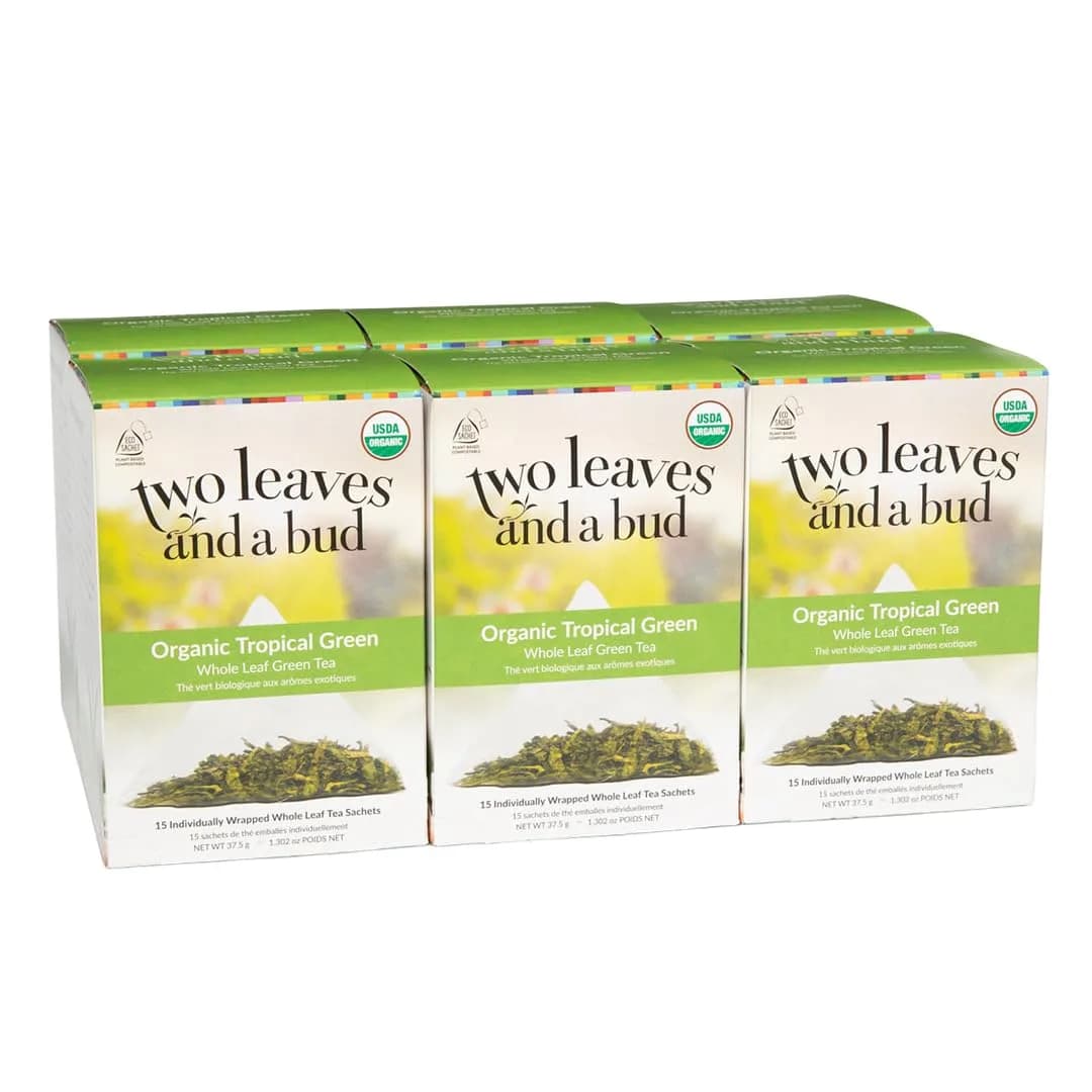 Two Leaves and a Bud Organic Tropical Green Tea Bags, 15 Count | Refreshing, Full Leaf Sencha in Eco-Pack — Teabags