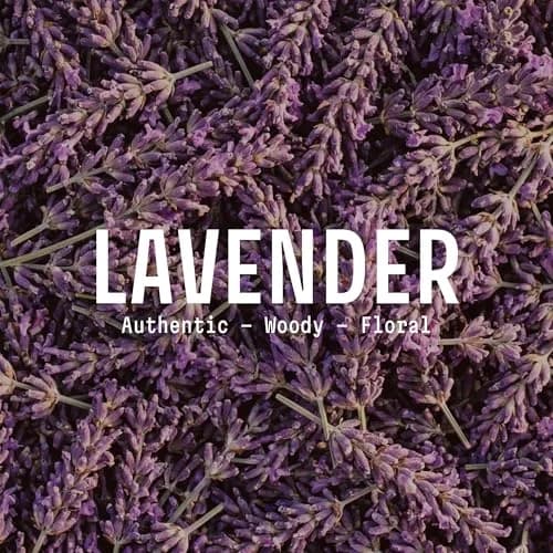 Panier des Sens Lavender Liquid Hand Soap 500ml (16.9 fl oz) | French Savon de Marseille Tradition thumbnail 2