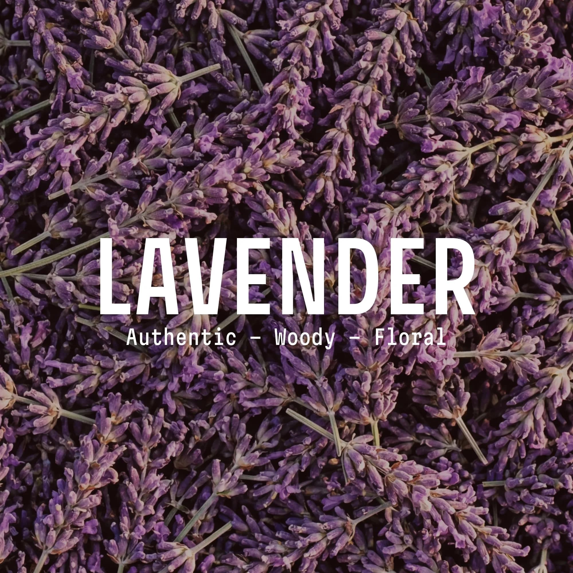 Panier des Sens Lavender Liquid Hand Soap 500ml (16.9 fl oz) | French Savon de Marseille Tradition - view 2