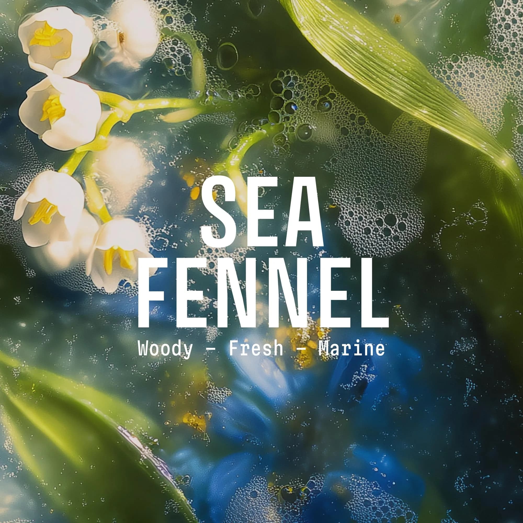 Panier des Sens Sea Samphire Liquid Hand Soap 500ml (16.9 fl oz) | French Savon de Marseille Tradition - view 2