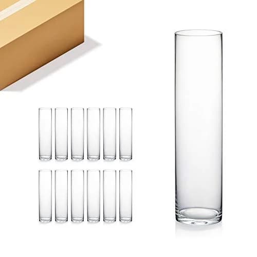 WGVI Thick Weighted Clear Cylinder Glass Vases 3" W x 12" H | Elegant Floral Display (120 chars) thumbnail 1