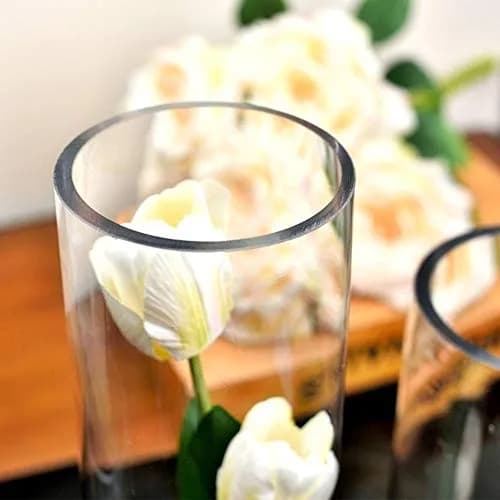 WGVI Thick Weighted Clear Cylinder Glass Vases 3" W x 12" H | Elegant Floral Display (120 chars) thumbnail 4