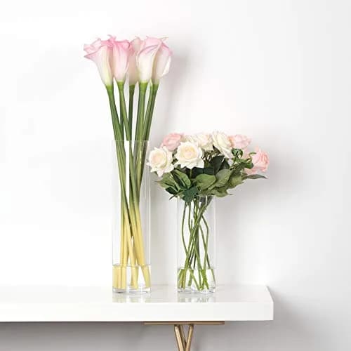 WGVI Thick Weighted Clear Cylinder Glass Vases 3" W x 12" H | Elegant Floral Display (120 chars) thumbnail 7