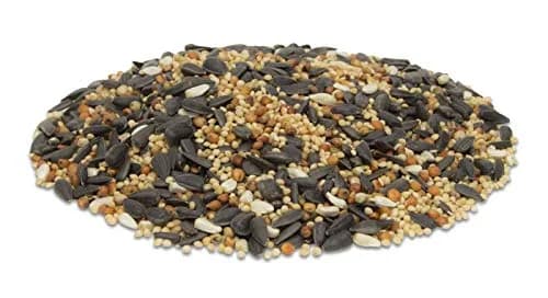 Morning Song Wild Bird Food 40 lb | Premium Seeds for Year-Round Feeding thumbnail 2