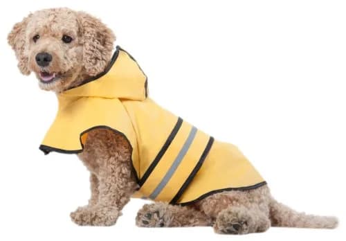 Fashion Pet Raincoat X-Small | Water Resistant Yellow Dog Rain Jacket with Hood & Reflective Strips thumbnail 1