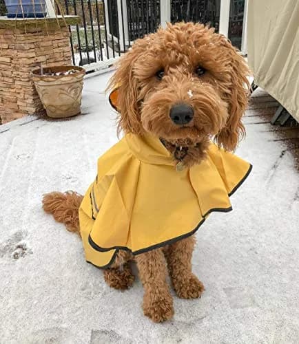 Fashion Pet Raincoat X-Small | Water Resistant Yellow Dog Rain Jacket with Hood & Reflective Strips thumbnail 5