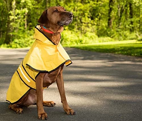 Fashion Pet Raincoat X-Small | Water Resistant Yellow Dog Rain Jacket with Hood & Reflective Strips thumbnail 7