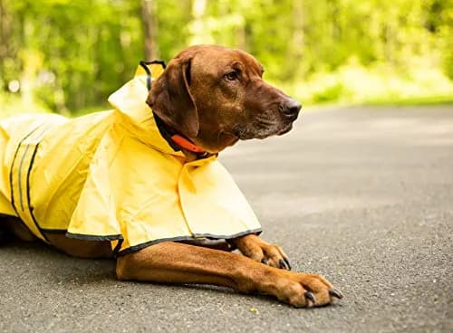 Fashion Pet Raincoat X-Small | Water Resistant Yellow Dog Rain Jacket with Hood & Reflective Strips thumbnail 8