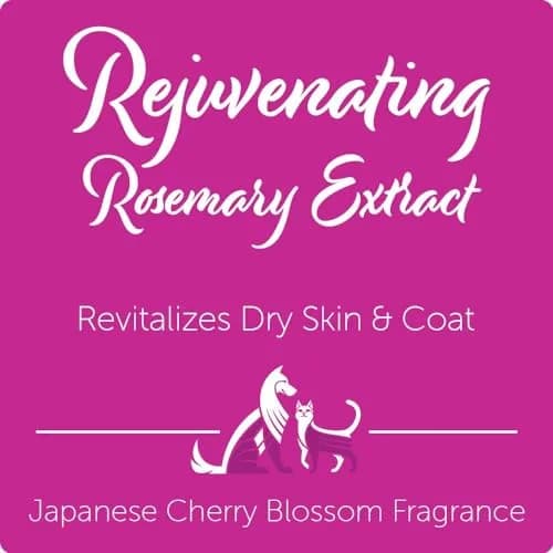 Nootie Japanese Cherry Blossom Pet Shampoo for Sensitive Skin 473ml (16 fl oz) | Revitalizes Dry Skin & Coat thumbnail 4