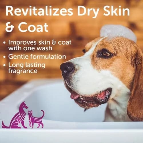 Nootie Japanese Cherry Blossom Pet Shampoo for Sensitive Skin 473ml (16 fl oz) | Revitalizes Dry Skin & Coat thumbnail 2