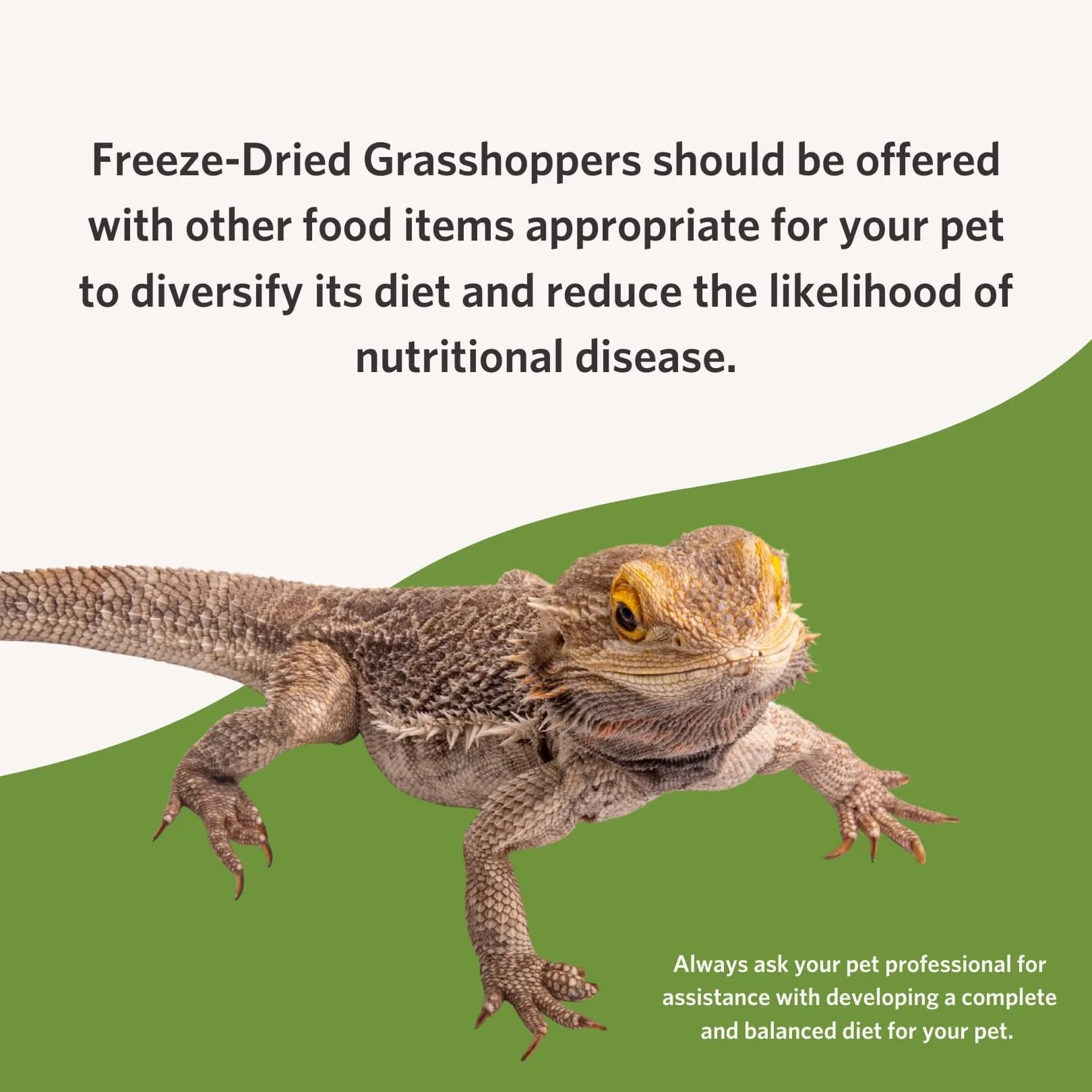 Fluker's Freeze Dried Grasshoppers 48g (1.7 oz) | Nutrient-Packed Reptile Food - view 5