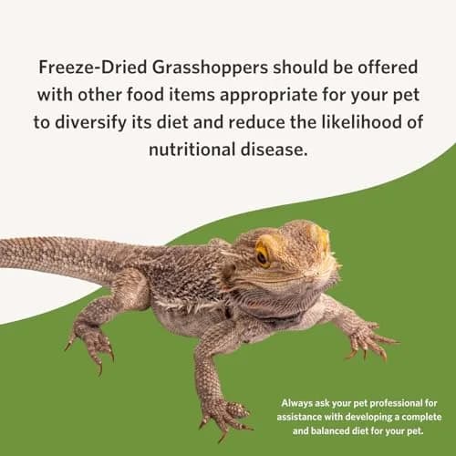 Fluker's Freeze Dried Grasshoppers 48g (1.7 oz) | Nutrient-Packed Reptile Food thumbnail 5