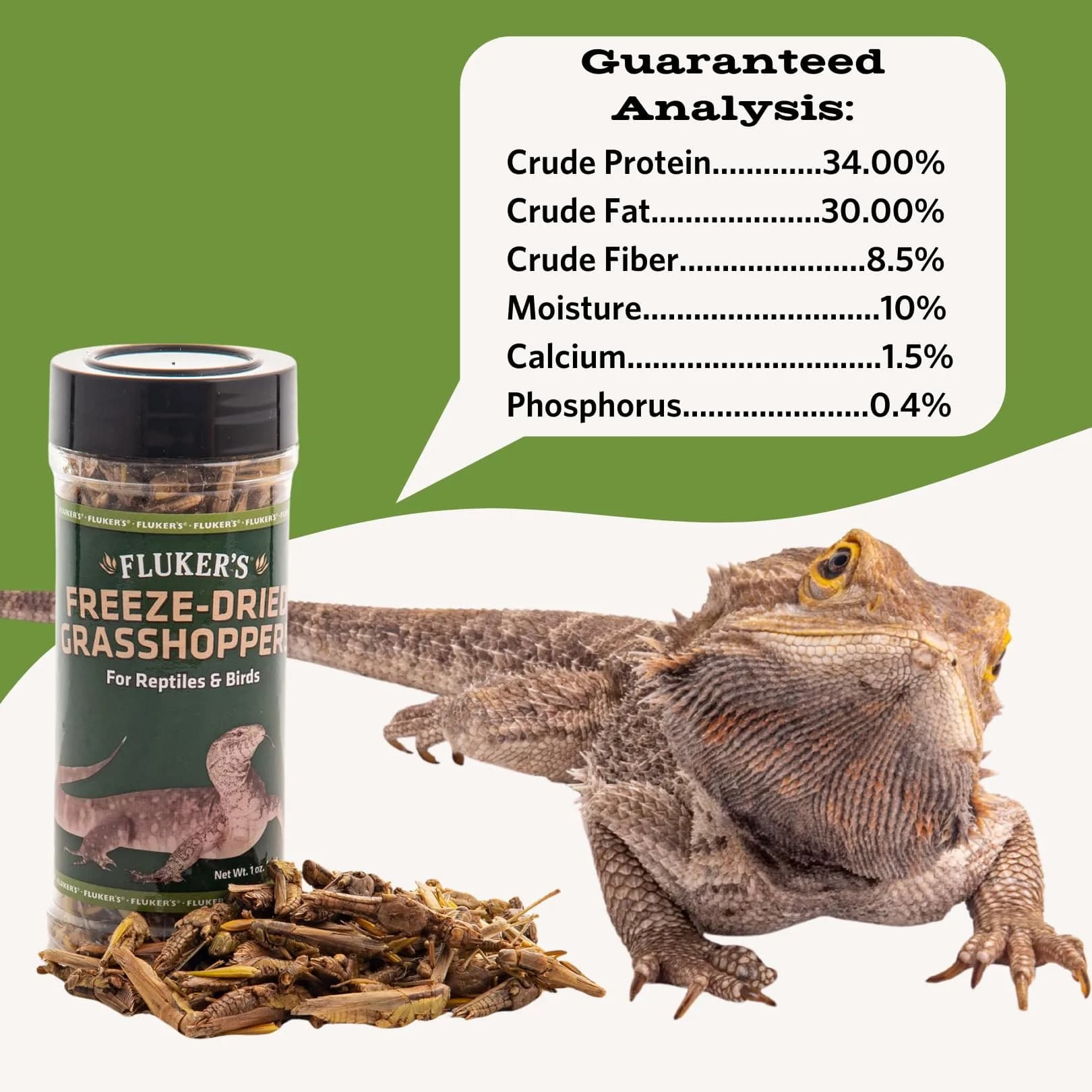 Fluker's Freeze Dried Grasshoppers 1oz | Protein-Rich Treat for Reptiles, Birds, Fish & Hedgehogs - view 2