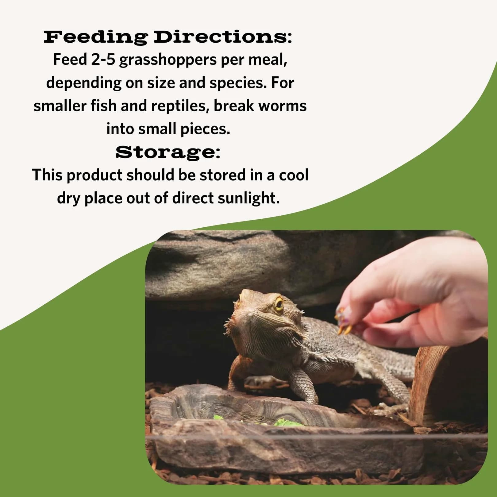 Fluker's Freeze Dried Grasshoppers 1oz | Protein-Rich Treat for Reptiles, Birds, Fish & Hedgehogs - view 3