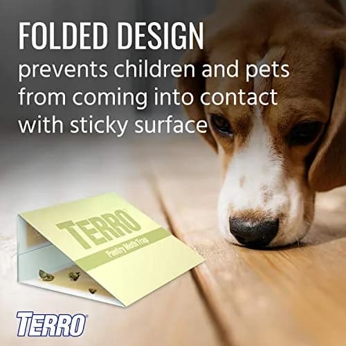 Terro Pantry Moth Traps - 2 Pack | Attracts & Traps Grain, Flour, Meal, Seed Moths thumbnail 5