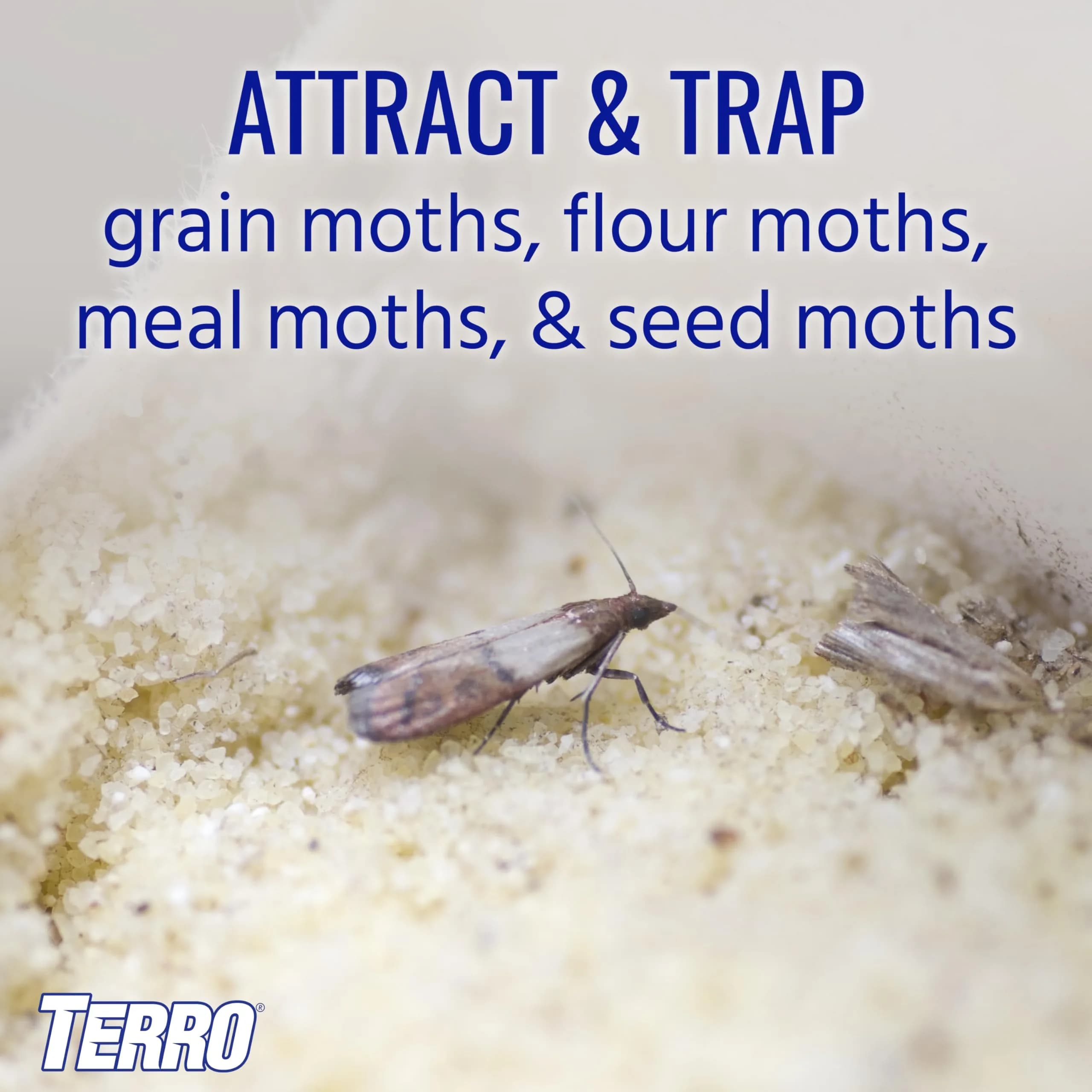 Terro Pantry Moth Traps - 2 Pack | Attracts & Traps Grain, Flour, Meal, Seed Moths - view 2