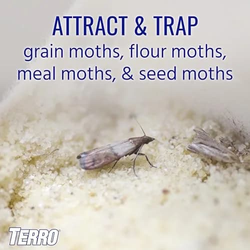 Terro Pantry Moth Traps - 2 Pack | Attracts & Traps Grain, Flour, Meal, Seed Moths thumbnail 2