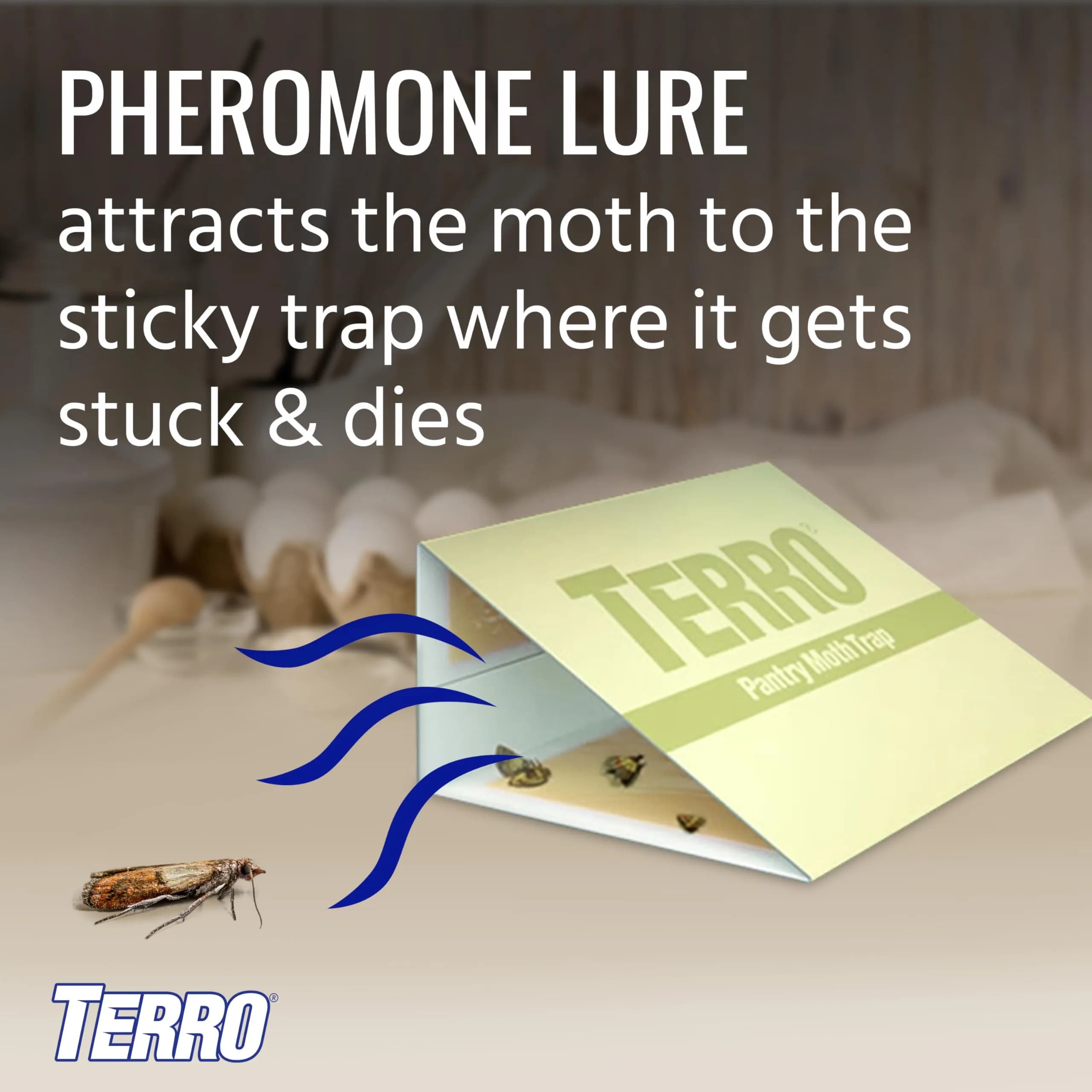 Terro Pantry Moth Traps - 2 Pack | Attracts & Traps Grain, Flour, Meal, Seed Moths - view 3