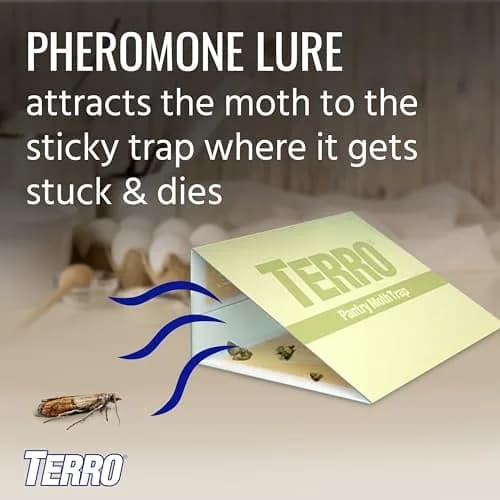 Terro Pantry Moth Traps - 2 Pack | Attracts & Traps Grain, Flour, Meal, Seed Moths thumbnail 3