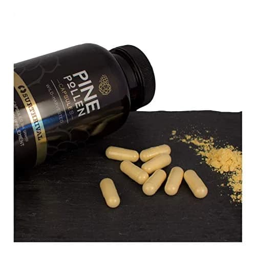 Surthrival Pine Pollen Powder Capsules 180 Count | Energy & Endurance Support thumbnail 5