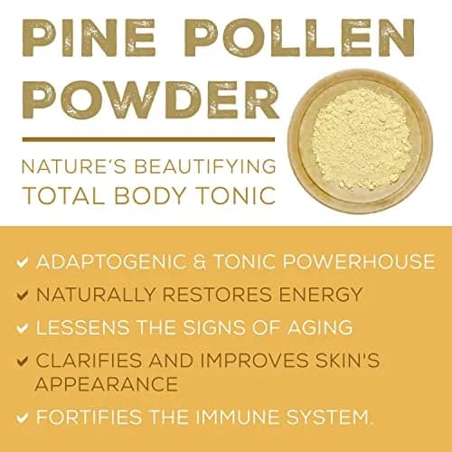 Surthrival Pine Pollen Powder Capsules 180 Count | Energy & Endurance Support thumbnail 3