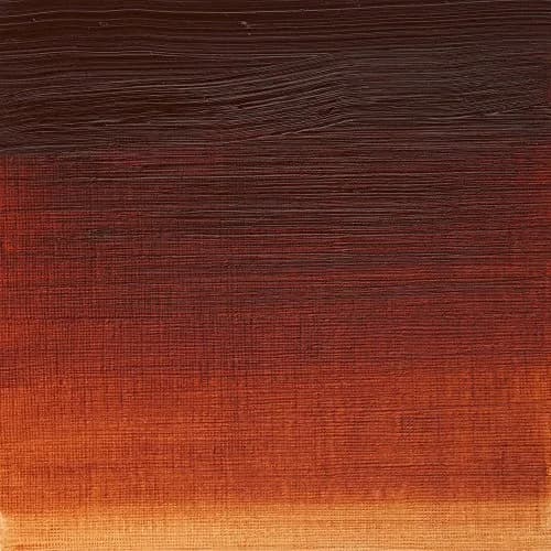 Winsor & Newton Artists' Oil Paint Burnt Sienna 200ml (6.76 Fl Oz) | ASTM D4236 Certified thumbnail 2