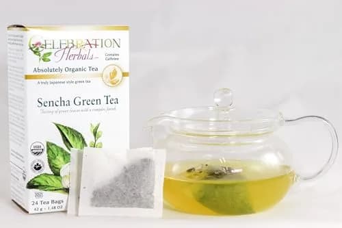 Celebration Herbals Green Tea Sencha Organic 24 Bag | Mild Vegetable Flavor, High Polyphenols, Sushi Restaurant Aroma thumbnail 3