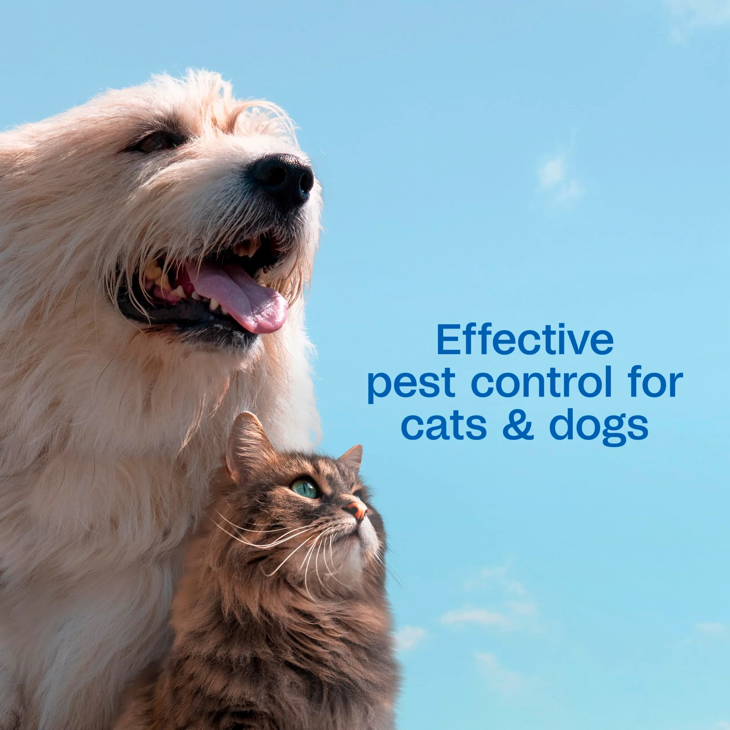 ADAMS Plus Flea & Tick Shampoo with Precor for Dogs, Cats, Puppies & Kittens, 355ml (12 Fl Oz) | Kills Fleas, Eggs, Ticks & Lice - view 4