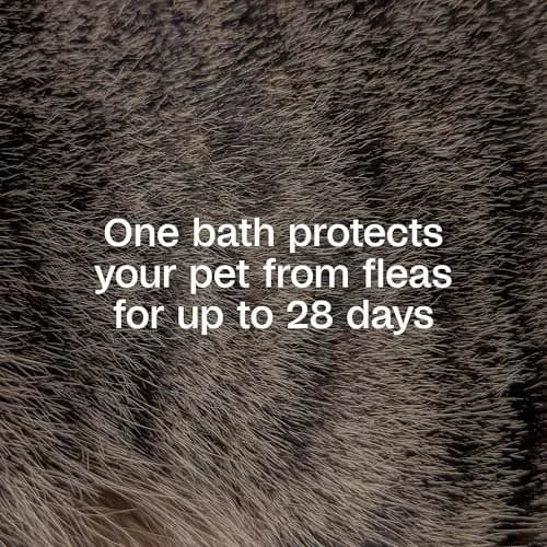 ADAMS Plus Flea & Tick Shampoo with Precor for Dogs, Cats, Puppies & Kittens, 355ml (12 Fl Oz) | Kills Fleas, Eggs, Ticks & Lice thumbnail 3