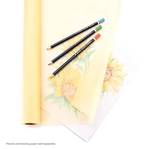Bee Paper Canary Sketch and Trace Roll 24-Inch x 720-Inch (60 Yards) | High Transparency Drawing Paper thumbnail 4
