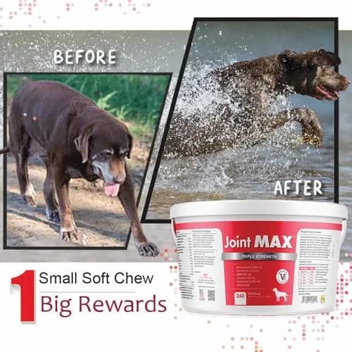 Joint Max Triple Strength Soft Chews for Dogs | Supports Joint & Cartilage Health in Aging & Active Dogs thumbnail 6