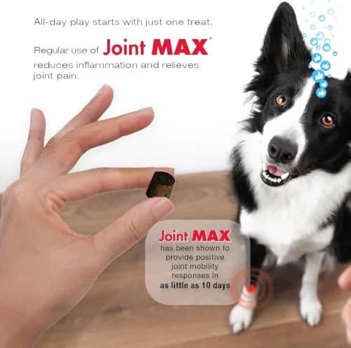 Joint Max Triple Strength Soft Chews for Dogs | Supports Joint & Cartilage Health in Aging & Active Dogs thumbnail 2
