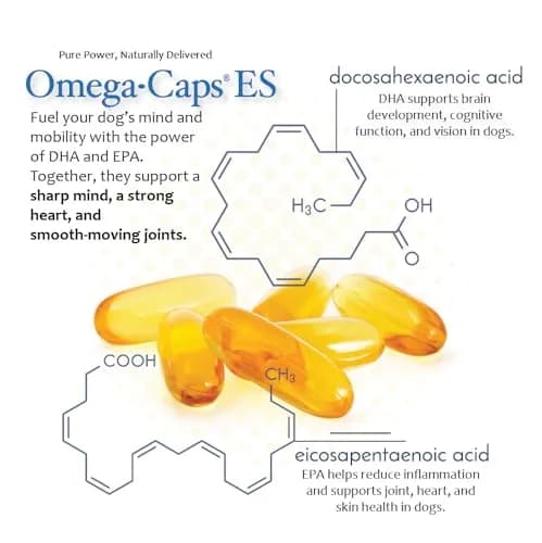 Omega-Caps ES Extra Strength for Large & Giant Dogs 60 Softgel Capsules | Omega-3 & Omega-6 Fatty Acids Support thumbnail 6