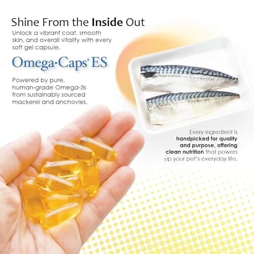 Omega-Caps ES Extra Strength for Large & Giant Dogs 60 Softgel Capsules | Omega-3 & Omega-6 Fatty Acids Support thumbnail 7