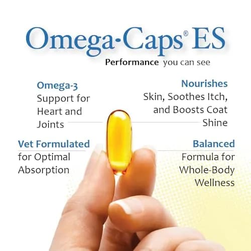Omega-Caps ES Extra Strength for Large & Giant Dogs 60 Softgel Capsules | Omega-3 & Omega-6 Fatty Acids Support thumbnail 2