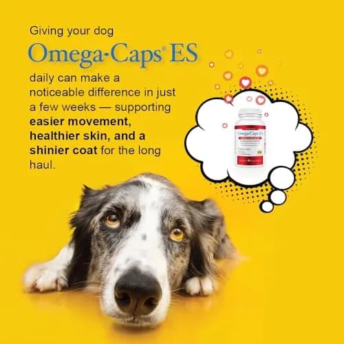 Omega-Caps ES Extra Strength for Large & Giant Dogs 60 Softgel Capsules | Omega-3 & Omega-6 Fatty Acids Support thumbnail 3