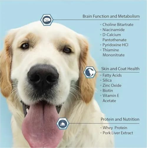 Vita-Tabs Multivitamin & Mineral Supplement for Dogs | Liver Flavored Chewable Tablets for Skin, Coat & Energy, 60 Chews thumbnail 5