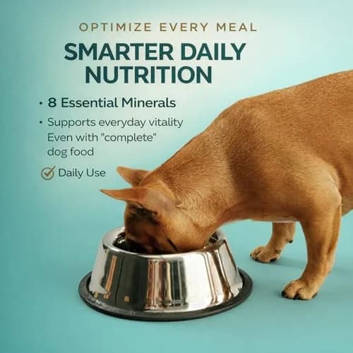 Vita-Tabs Multivitamin & Mineral Supplement for Dogs | Liver Flavored Chewable Tablets for Skin, Coat & Energy, 60 Chews thumbnail 3
