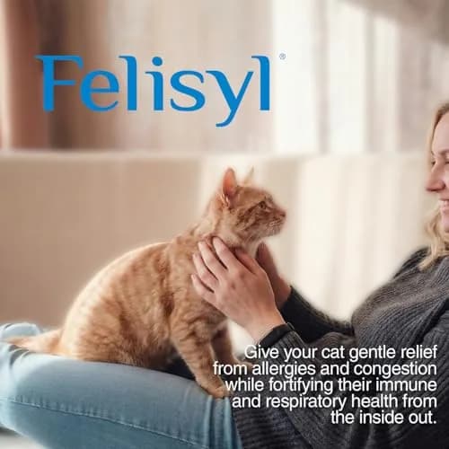 Pet Health Solutions Felisyl L-Lysine Granules for Cats 100g (3.5 oz) Supports Immune & Respiratory Health thumbnail 5